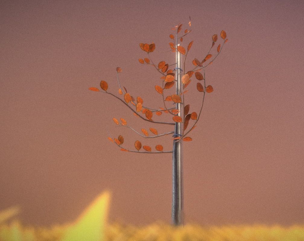 Small Pear Trees - Four Seasons Low-poly 3D model_54