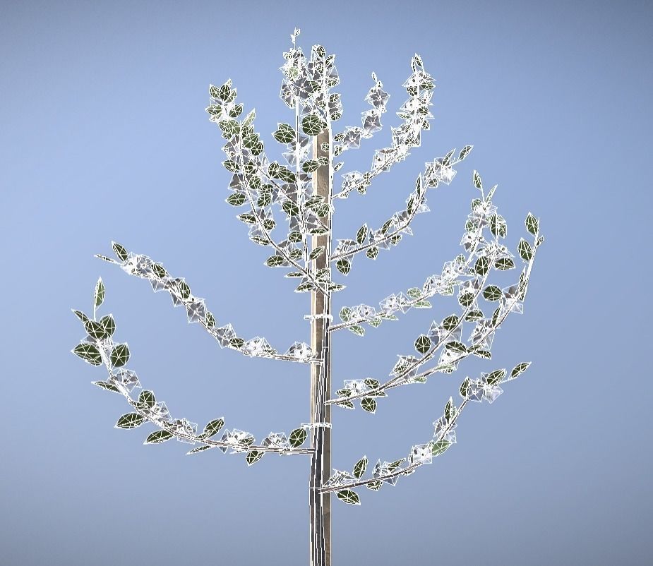 Small Pear Trees - Four Seasons Low-poly 3D model_31