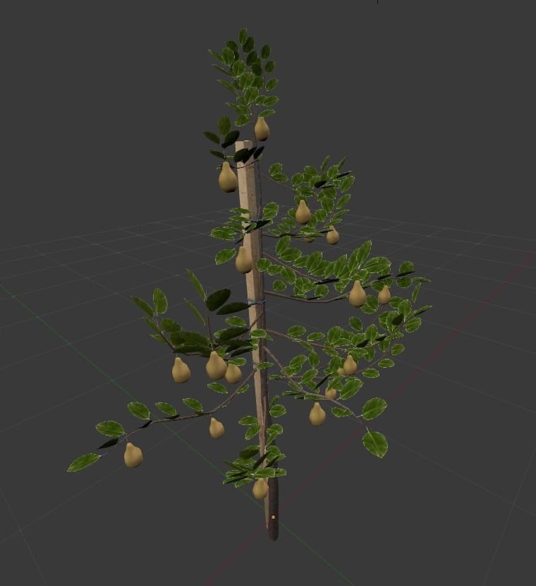 Small Pear Trees - Four Seasons Low-poly 3D model_39