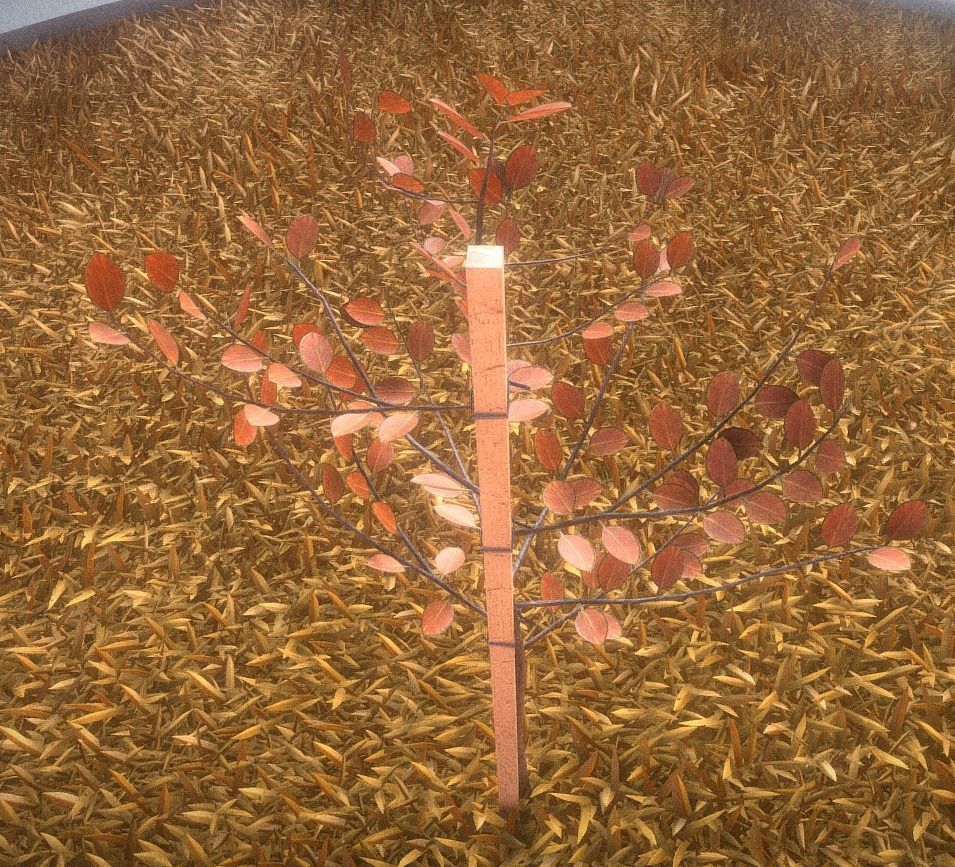 Small Pear Trees - Four Seasons Low-poly 3D model_52