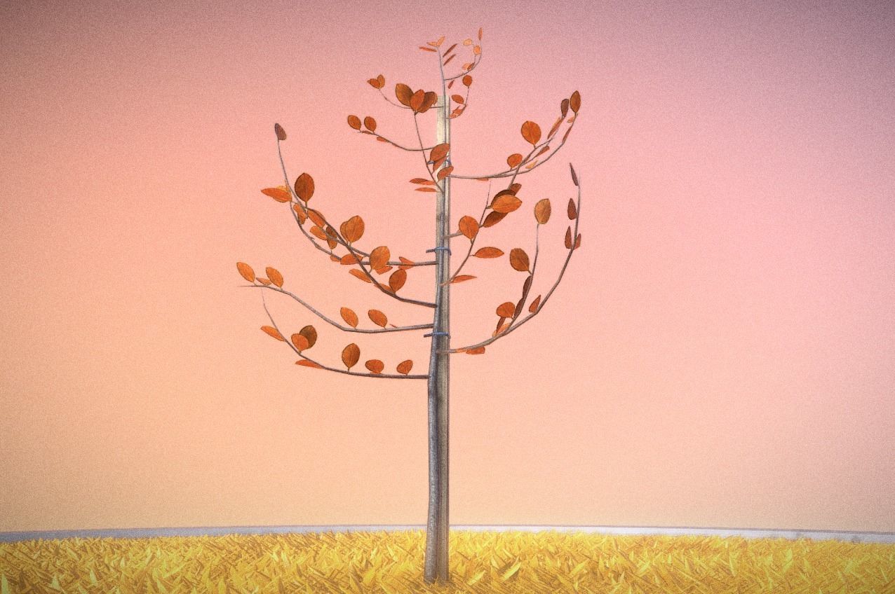 Small Pear Trees - Four Seasons Low-poly 3D model_9