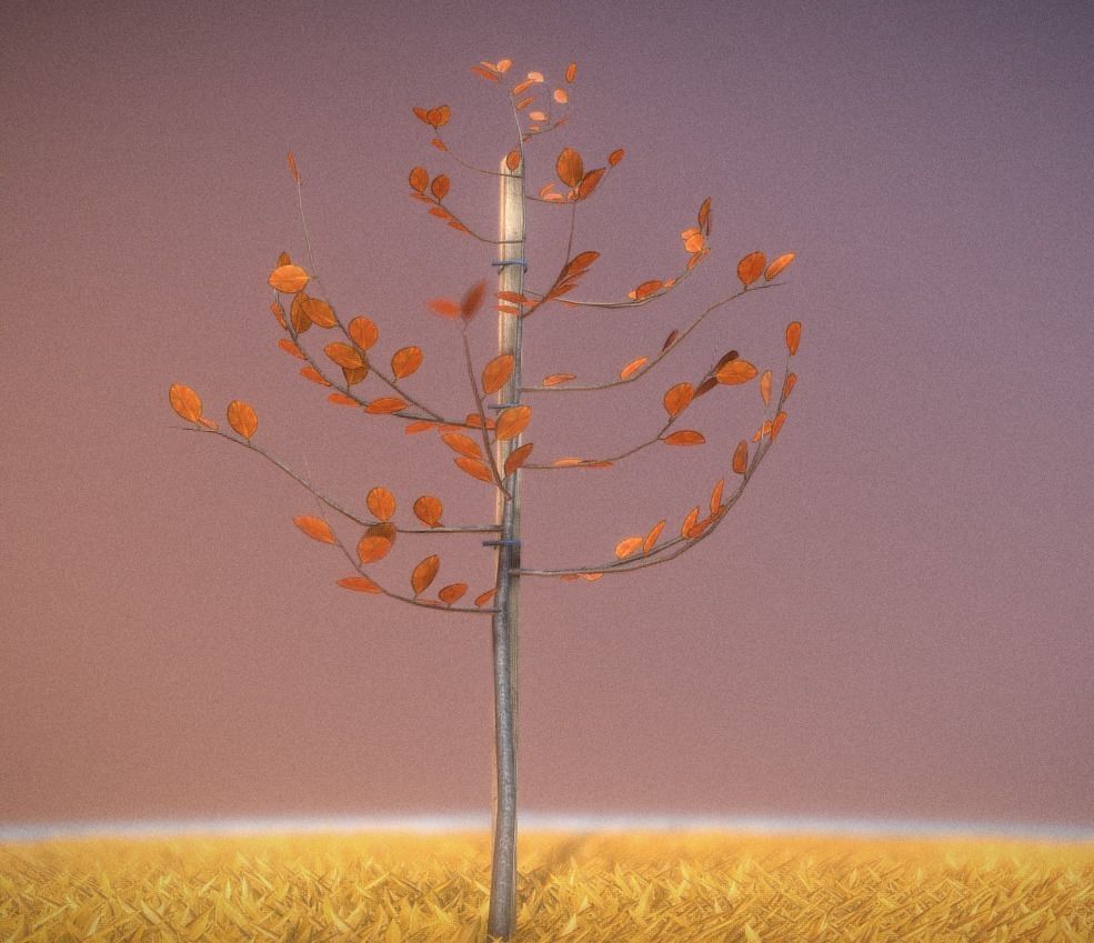 Small Pear Trees - Four Seasons Low-poly 3D model_14
