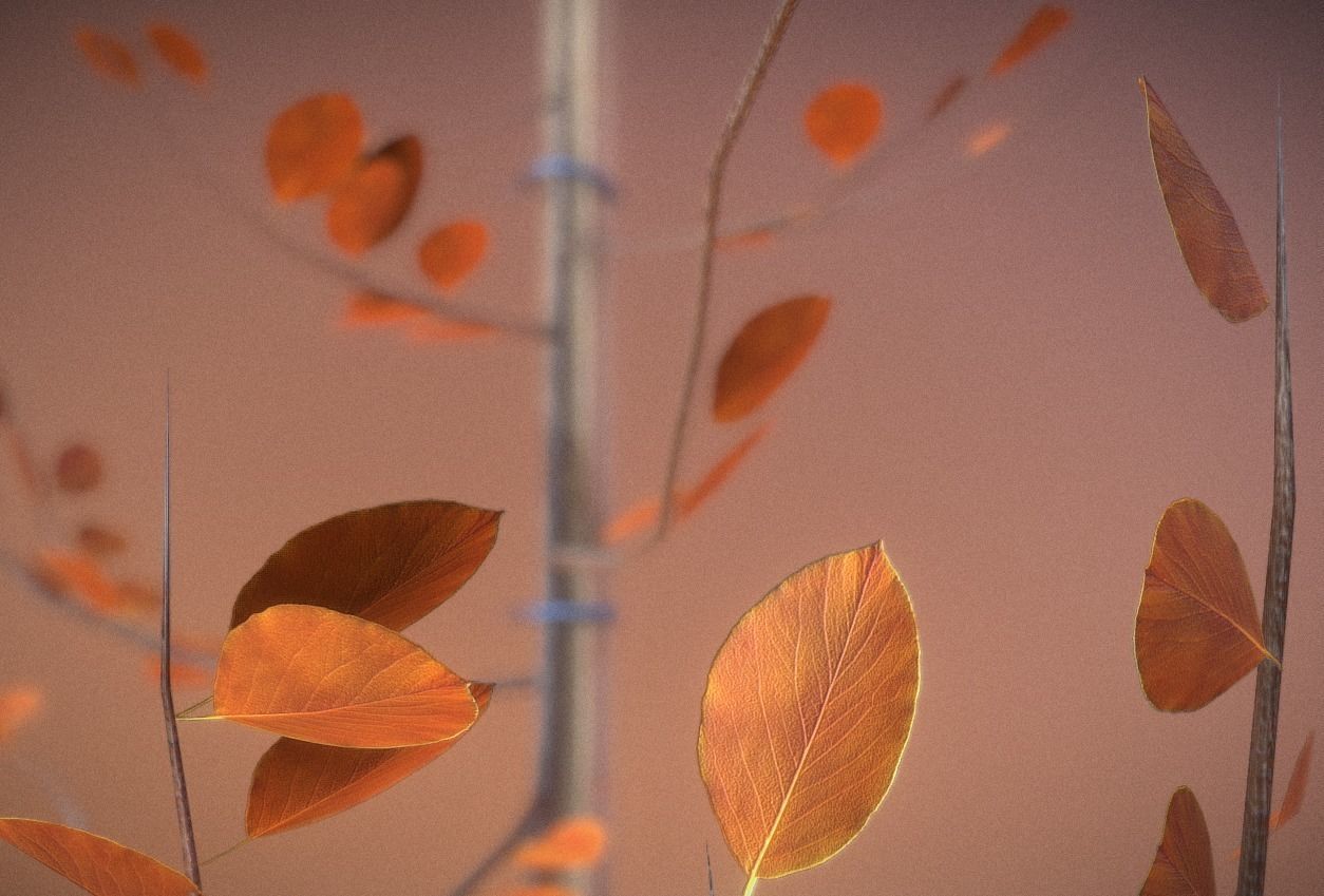 Small Pear Trees - Four Seasons Low-poly 3D model_27