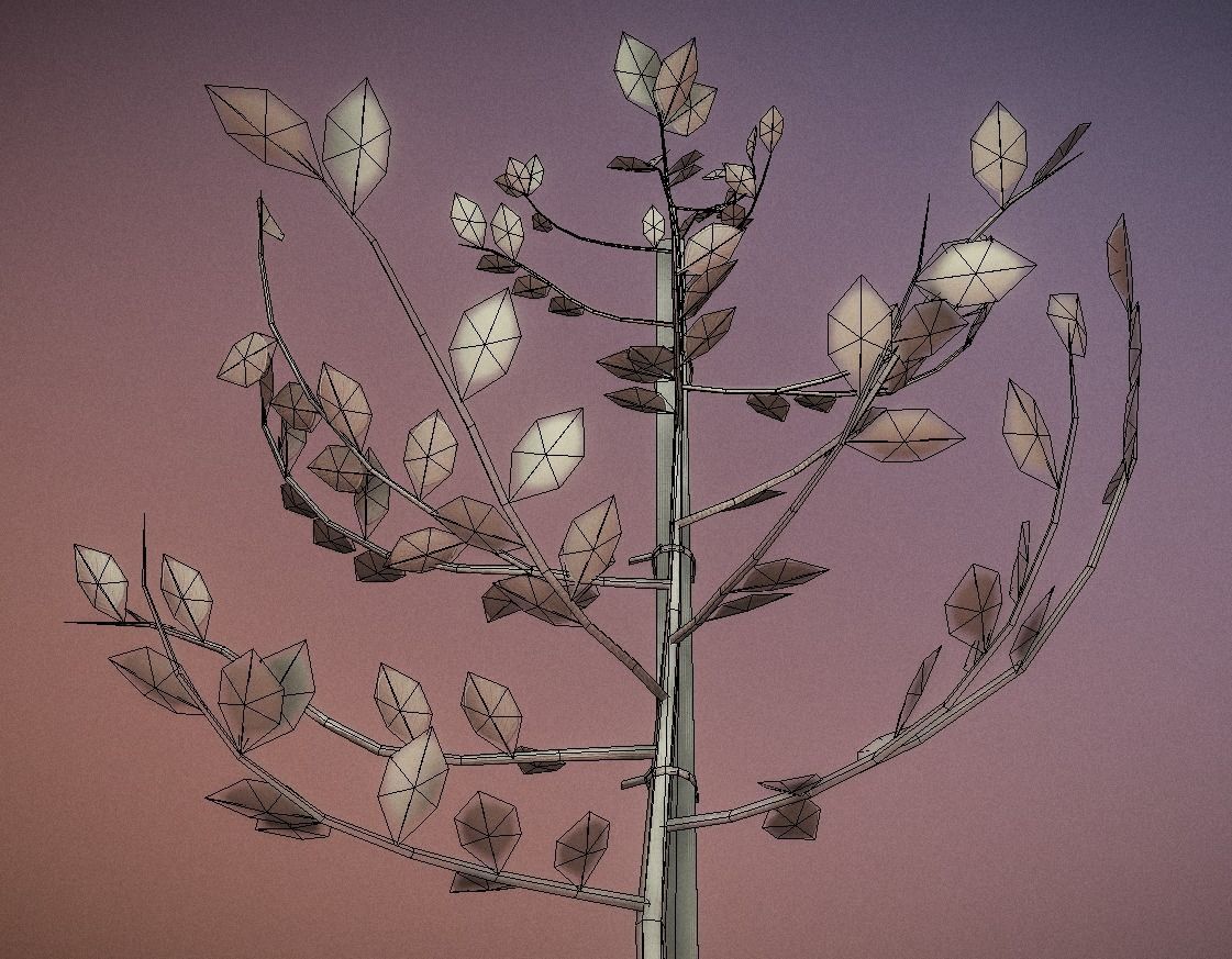 Small Pear Trees - Four Seasons Low-poly 3D model_25