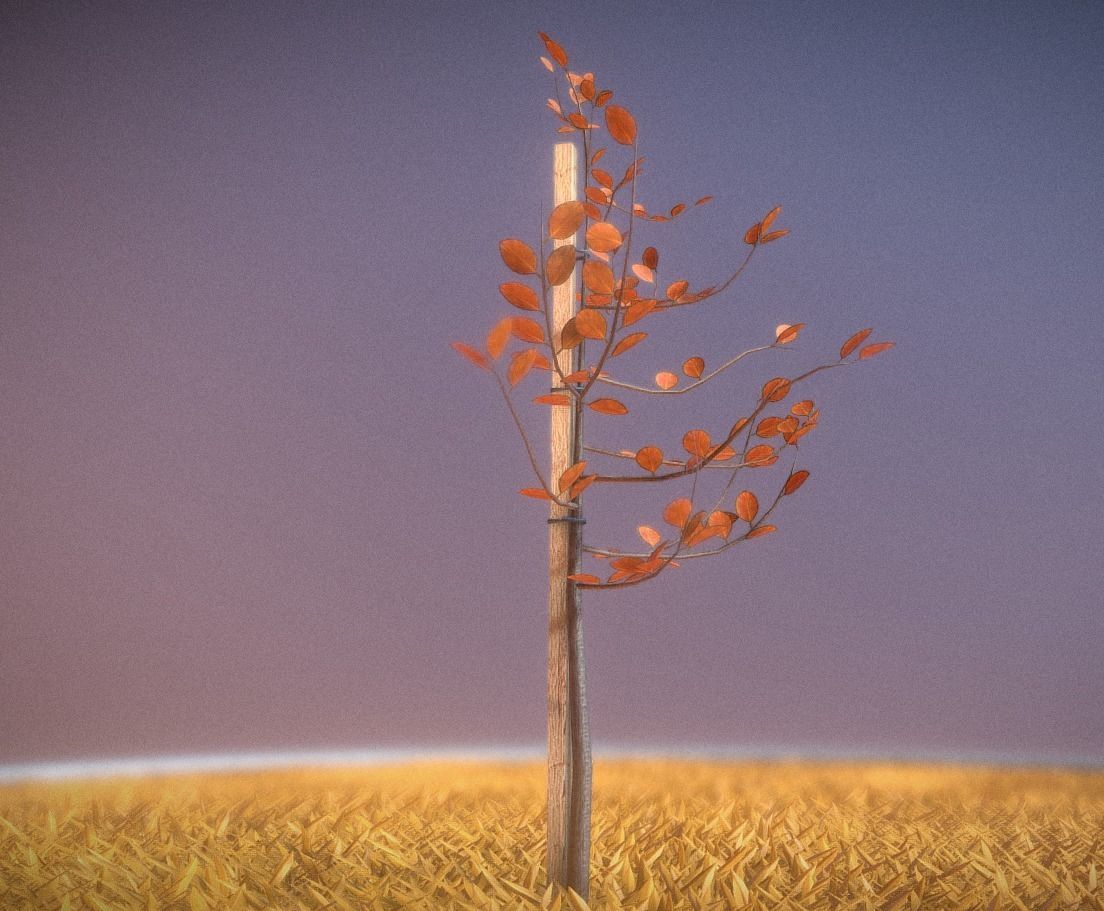 Small Pear Trees - Four Seasons Low-poly 3D model_19