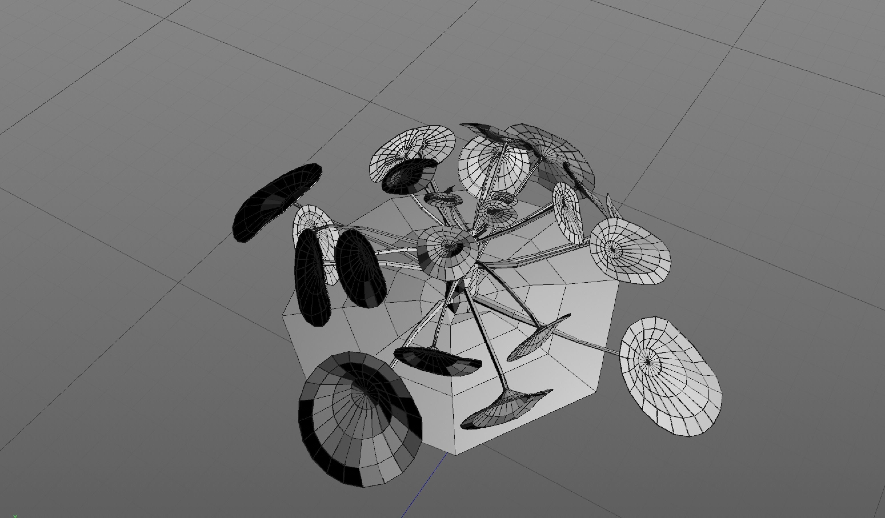 Plant elephantear  Chinese money plant Low-poly 3D model_3