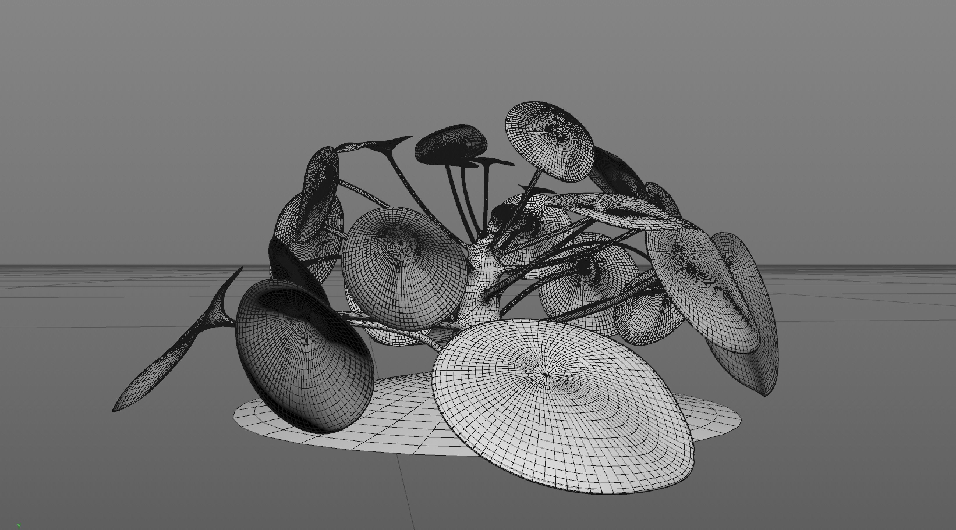 Plant elephantear  Chinese money plant Low-poly 3D model_5