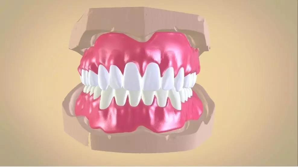 Full Dentures With Many Production Options 3D print model_0