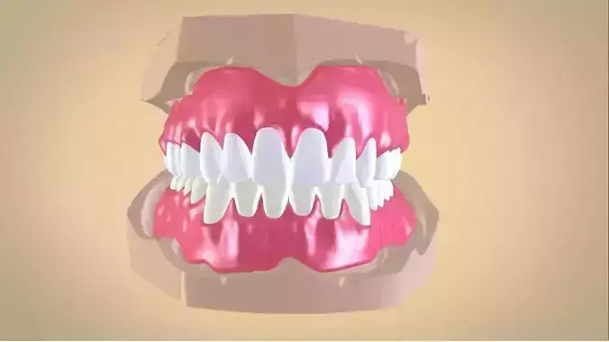 Full Dentures With Many Production Options 3D print model