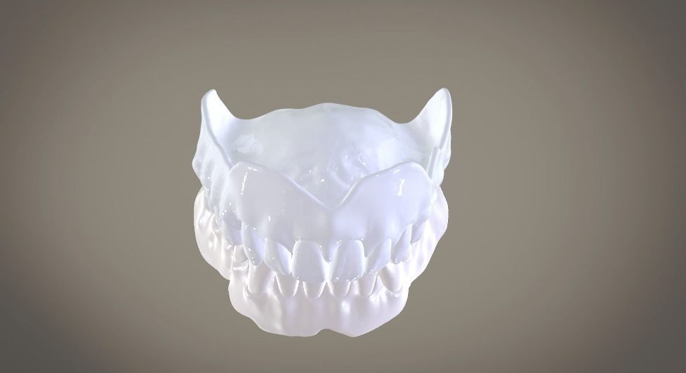 Full Dentures With Many Production Options 3D print model_16
