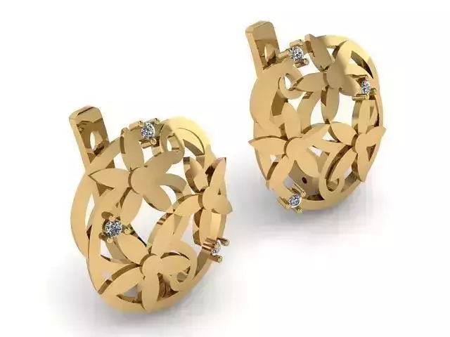 Earrings T01194