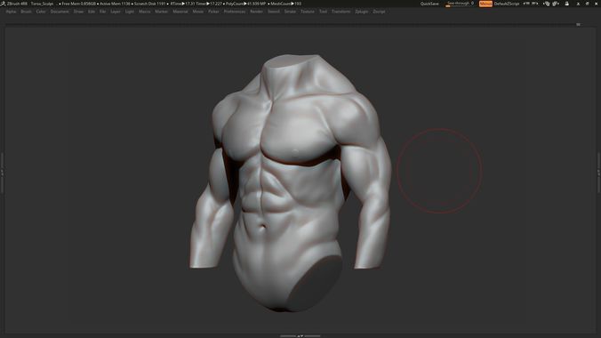 Male torso  3D model