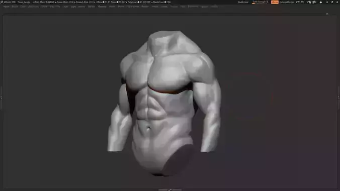 Male torso 