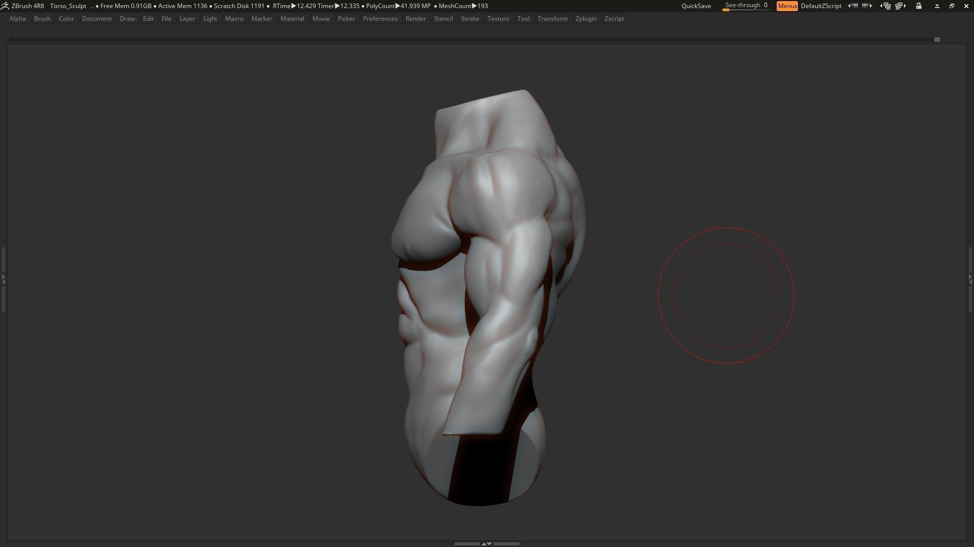 Male torso  3D model_5