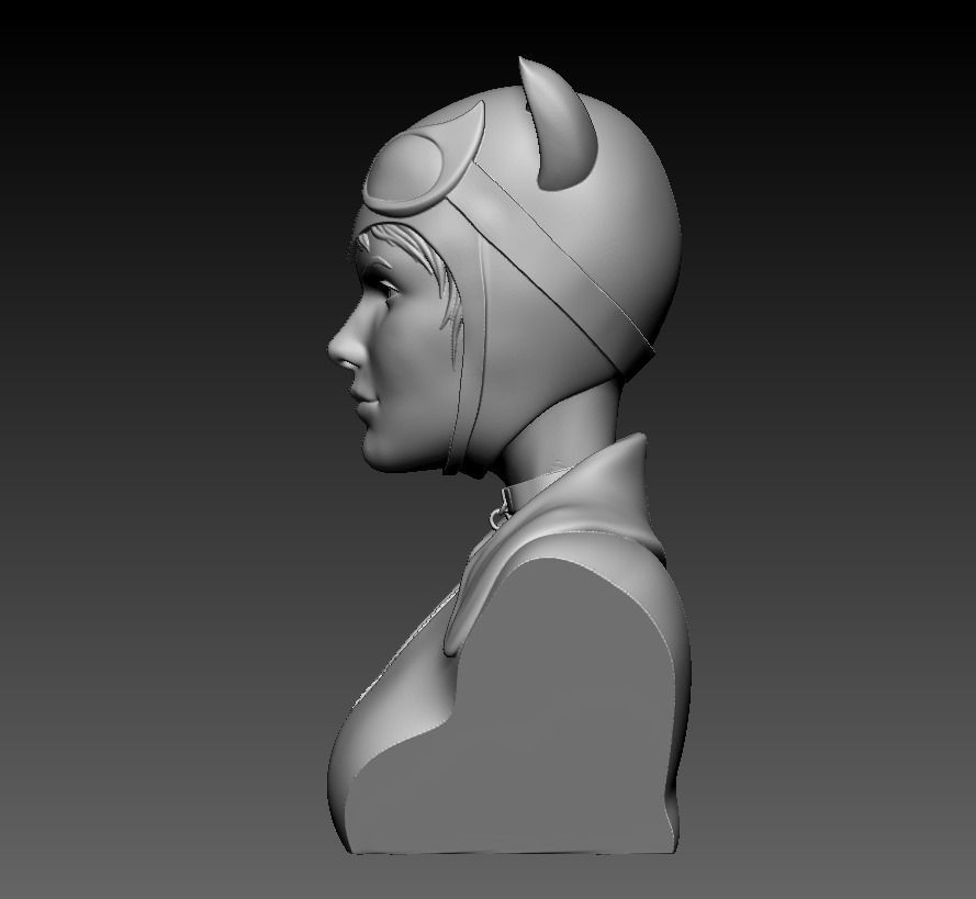 Bust - Catwoman 3D print model_20