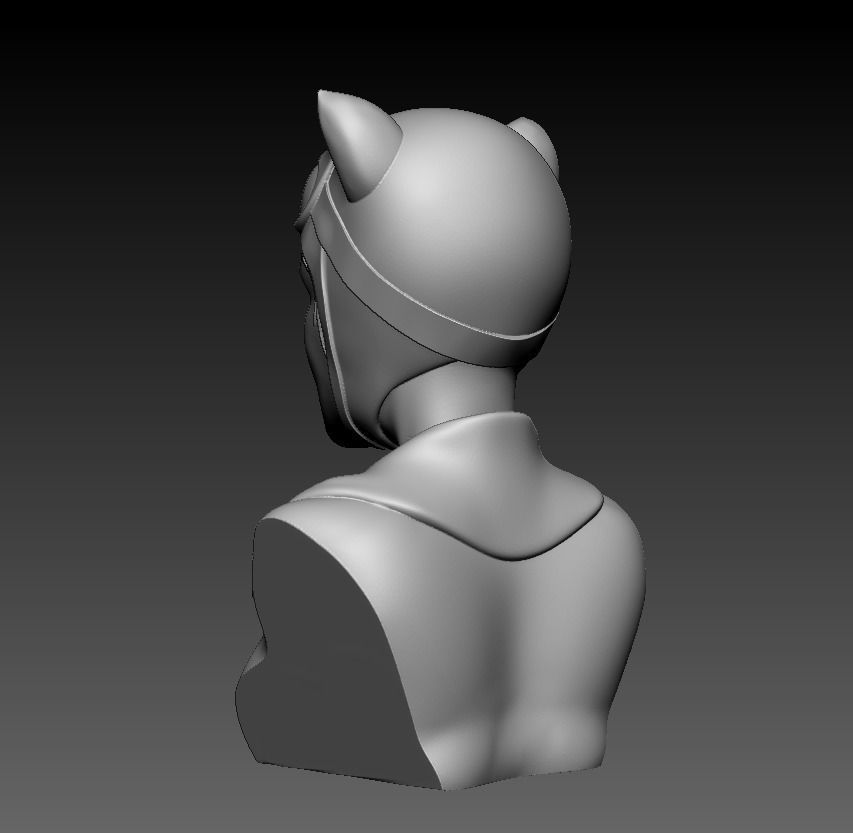 Bust - Catwoman 3D print model_17