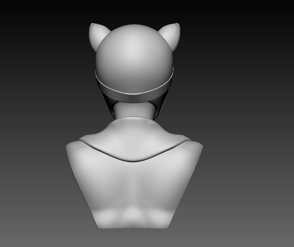 Bust - Catwoman 3D print model_21