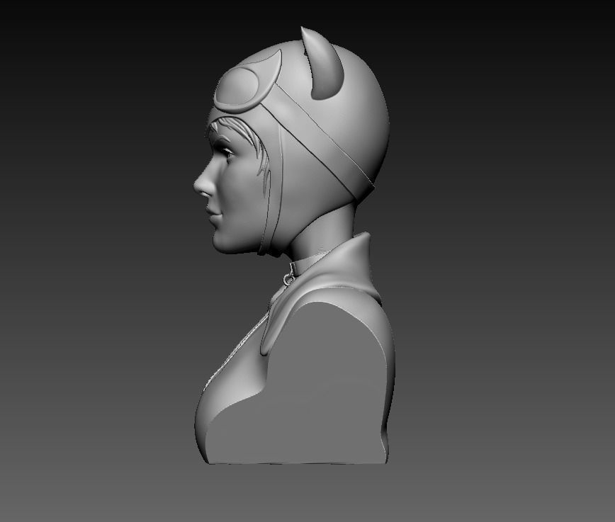 Bust - Catwoman 3D print model_15