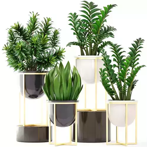 Collection plants set of potted 3D model