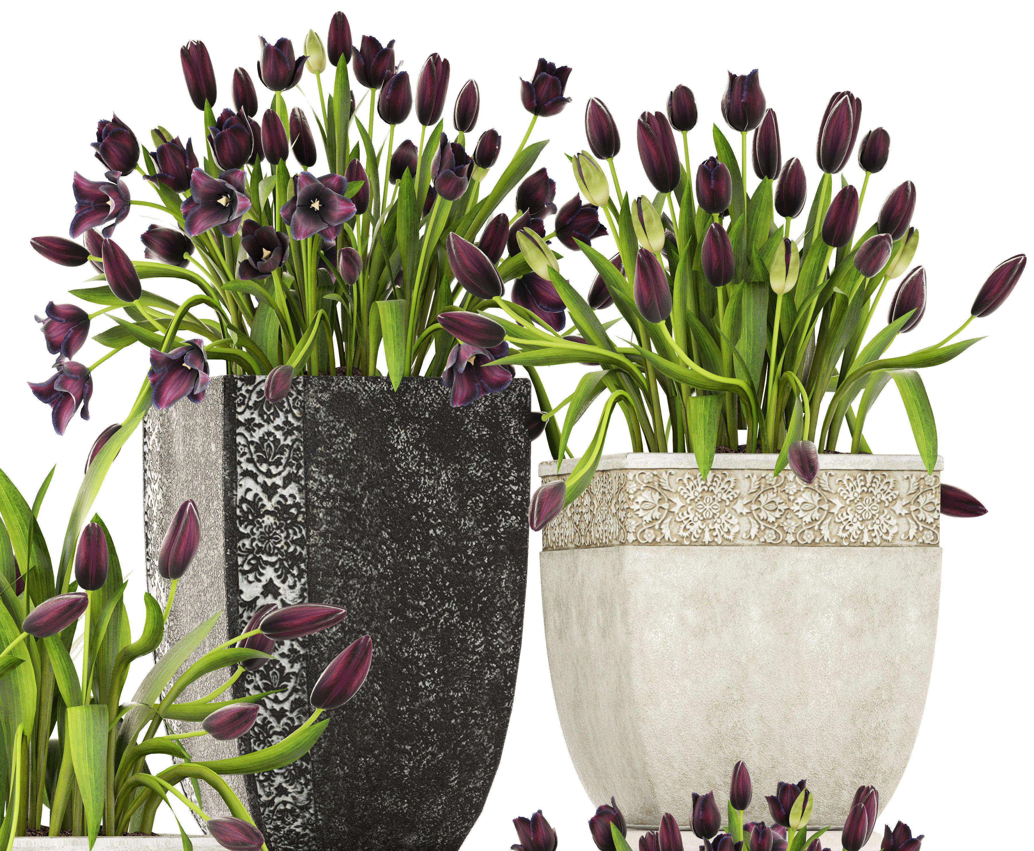 Large collection of classic outdoor pots with tulip flowers 3D model_7