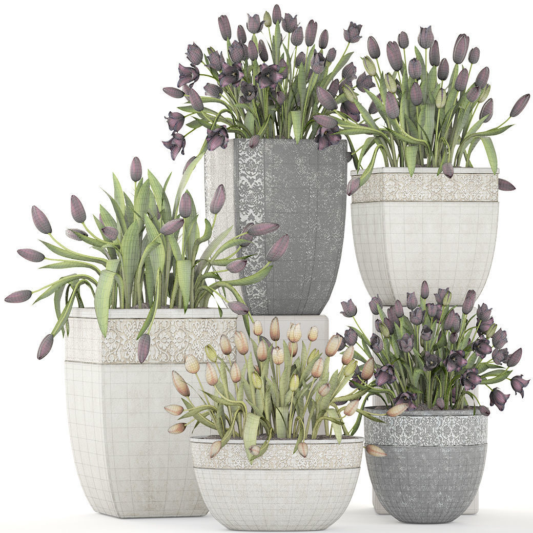 Large collection of classic outdoor pots with tulip flowers 3D model_4