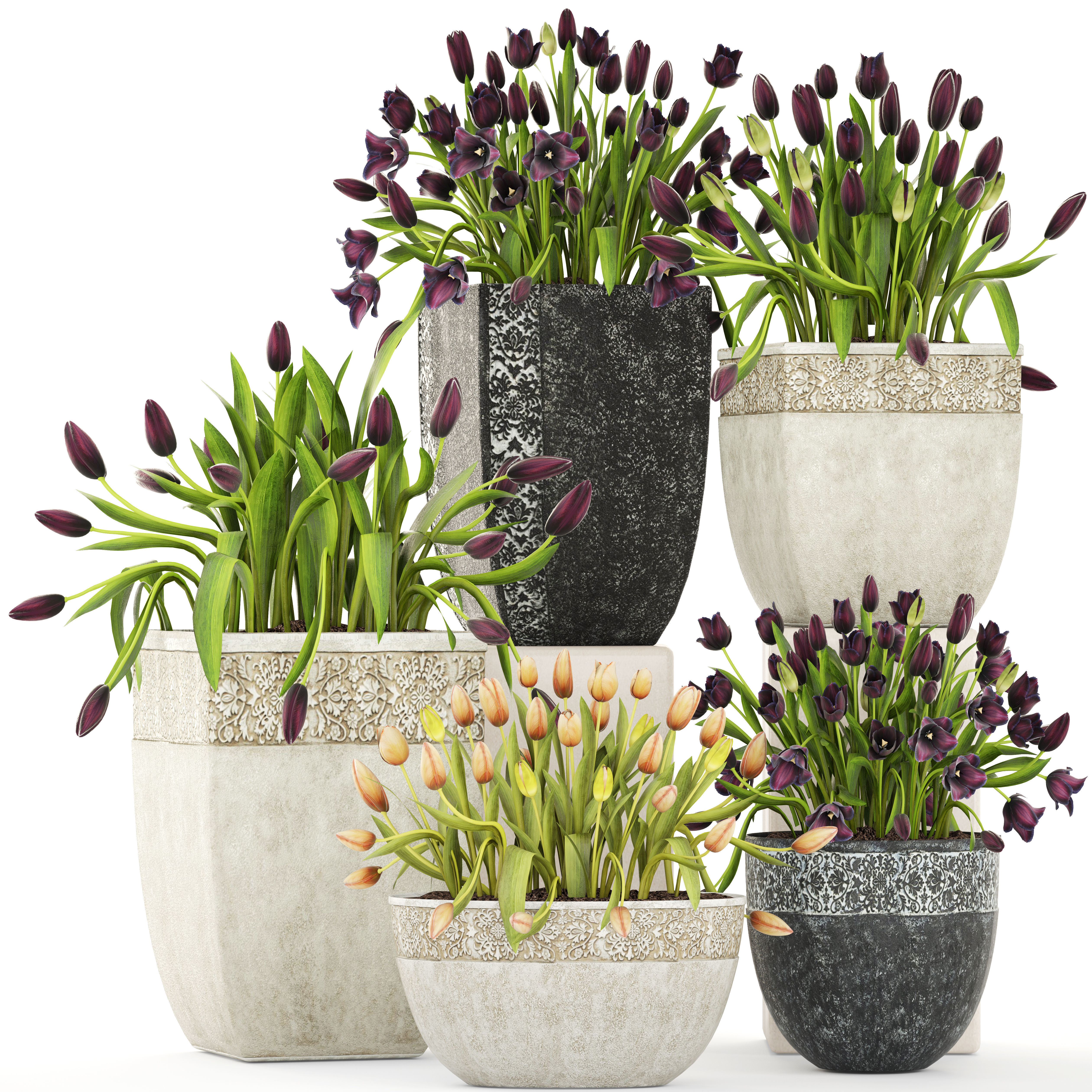 Large collection of classic outdoor pots with tulip flowers 3D model_10