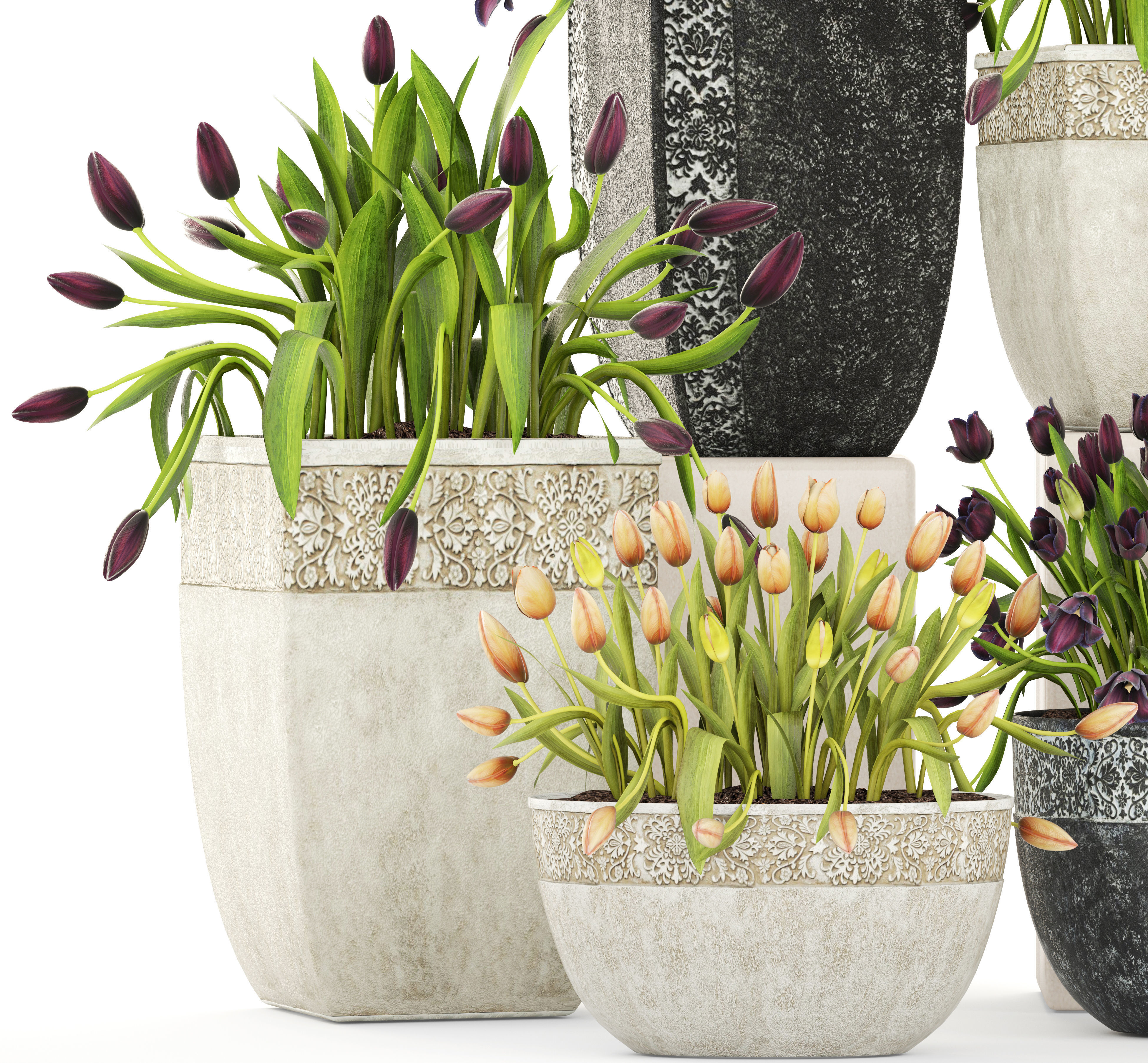Large collection of classic outdoor pots with tulip flowers 3D model_5
