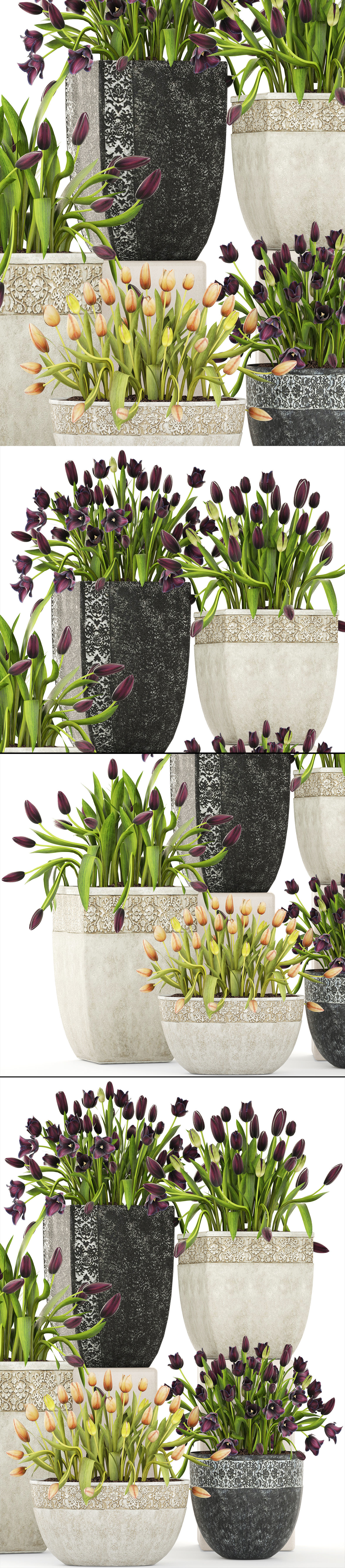 Large collection of classic outdoor pots with tulip flowers 3D model_9