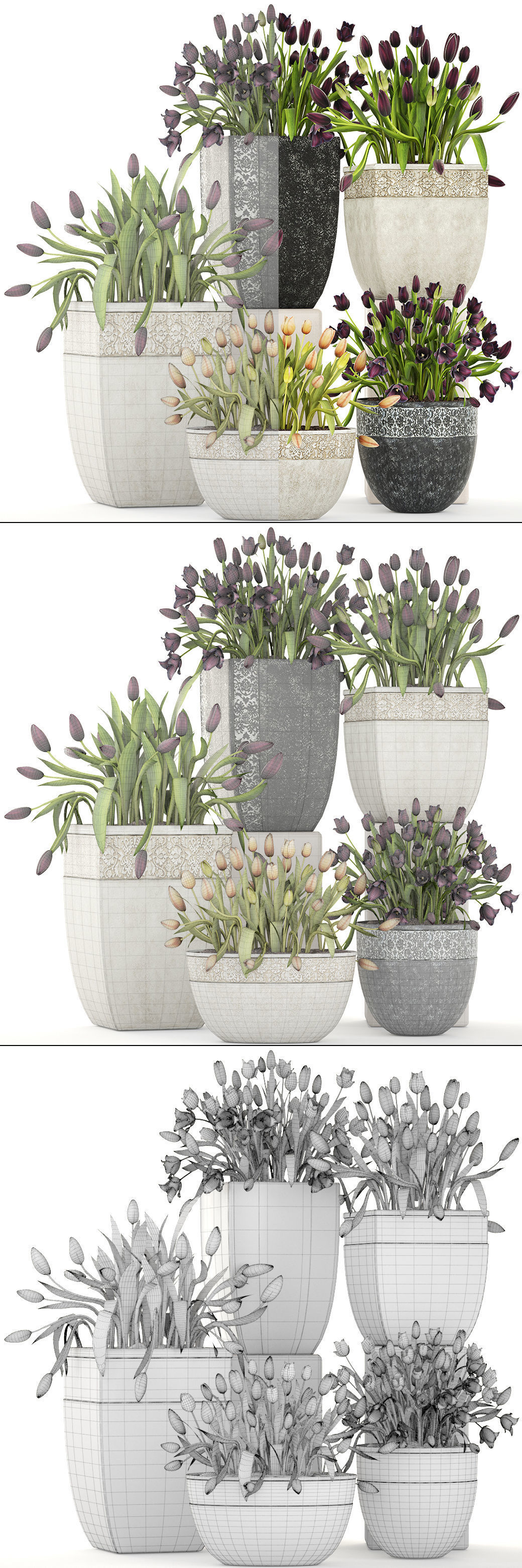 Large collection of classic outdoor pots with tulip flowers 3D model_2
