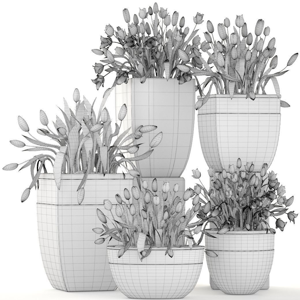 Large collection of classic outdoor pots with tulip flowers 3D model_6