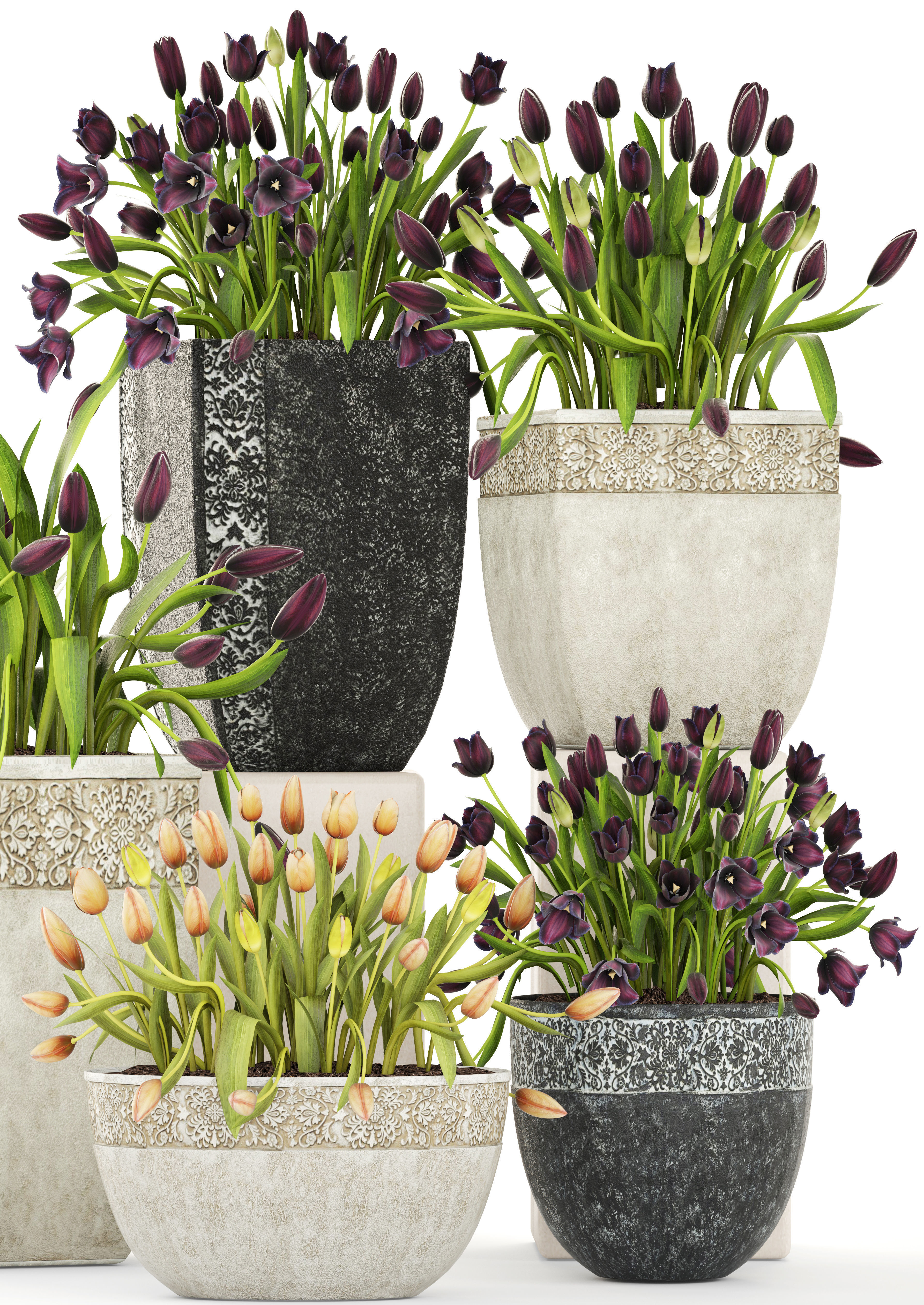 Large collection of classic outdoor pots with tulip flowers 3D model_8