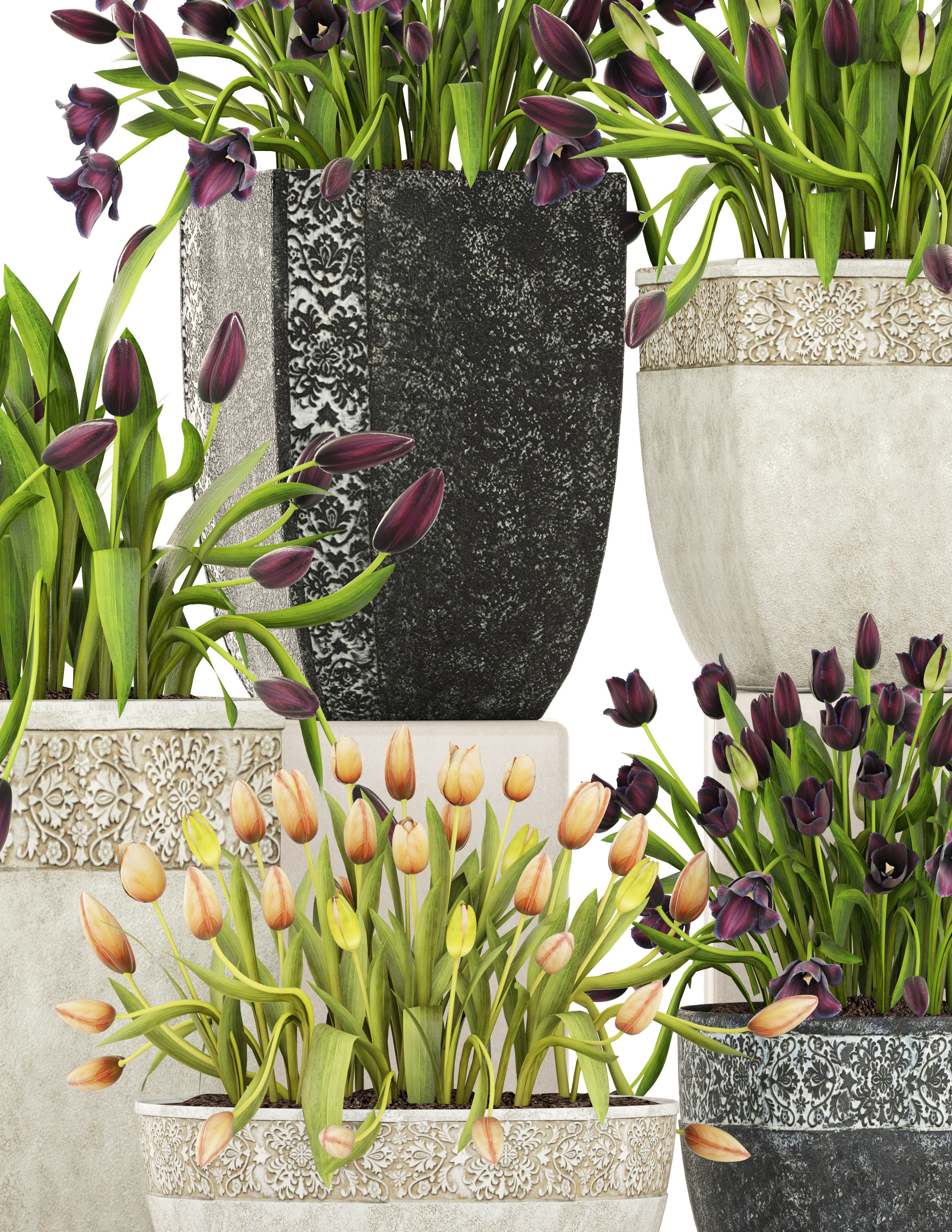 Large collection of classic outdoor pots with tulip flowers 3D model_1