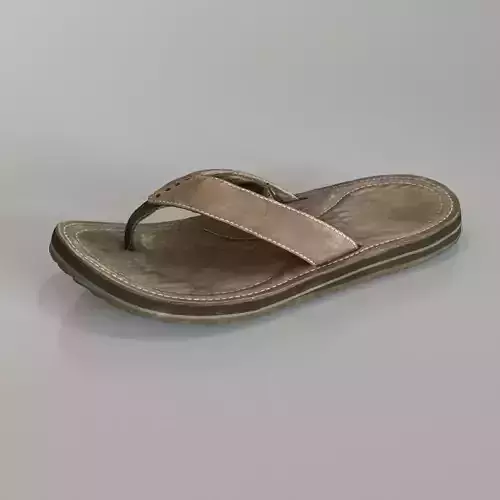 Old Teva Sandal