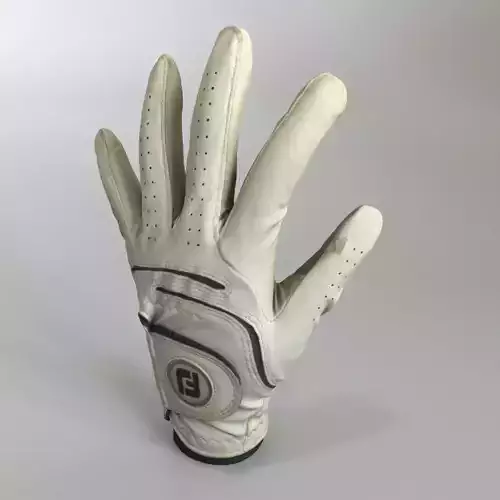 Golf Glove 3D model