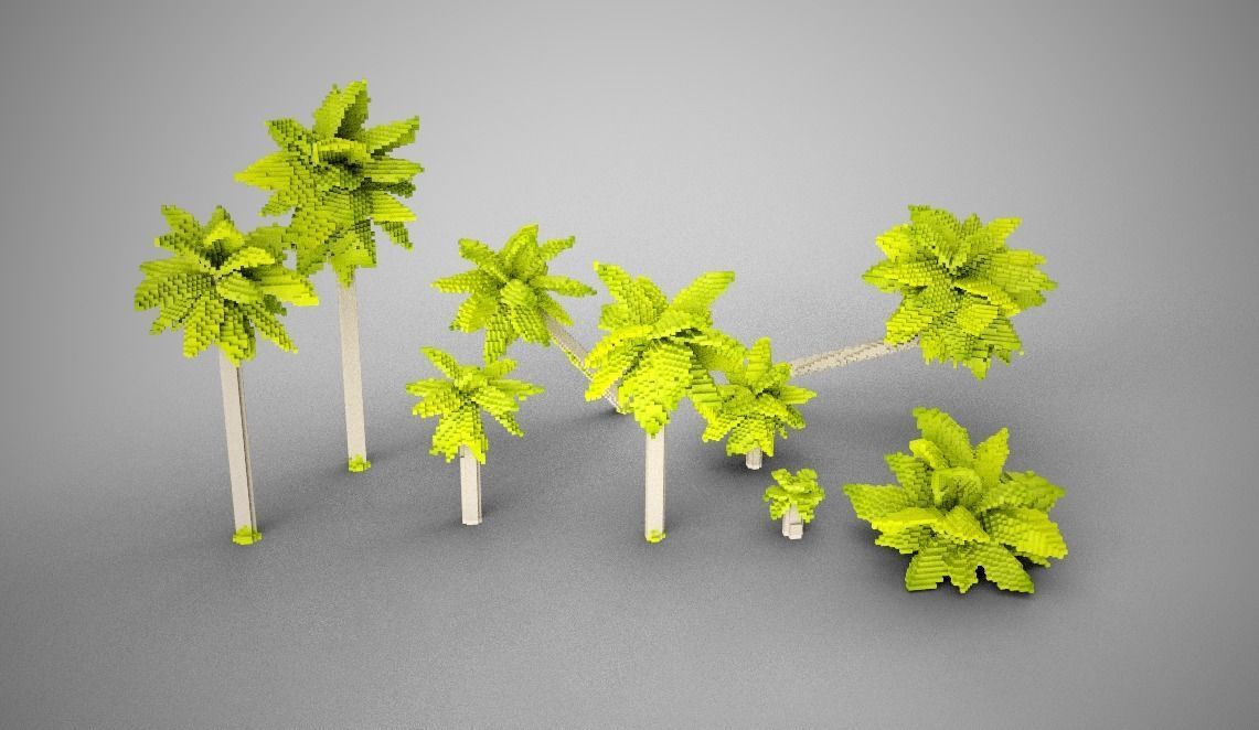 Palm Trees Low-poly 3D model_9
