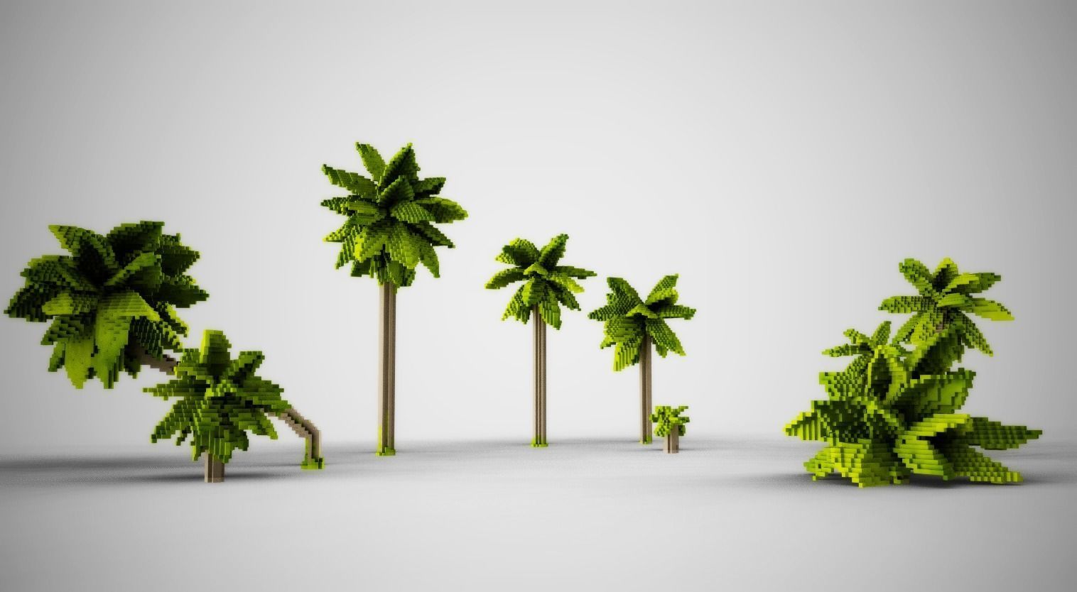 Palm Trees Low-poly 3D model_3