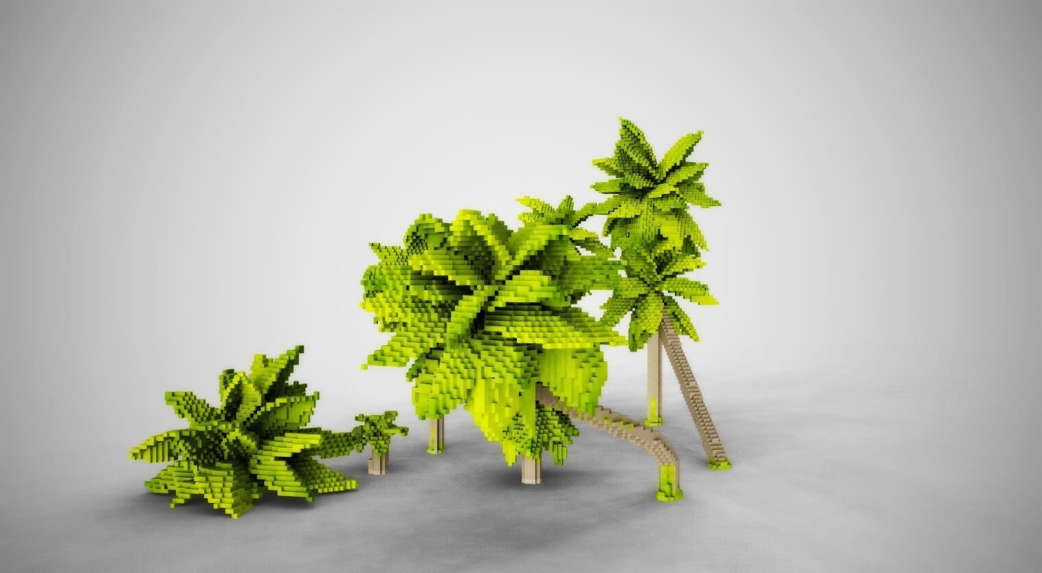 Palm Trees Low-poly 3D model_4