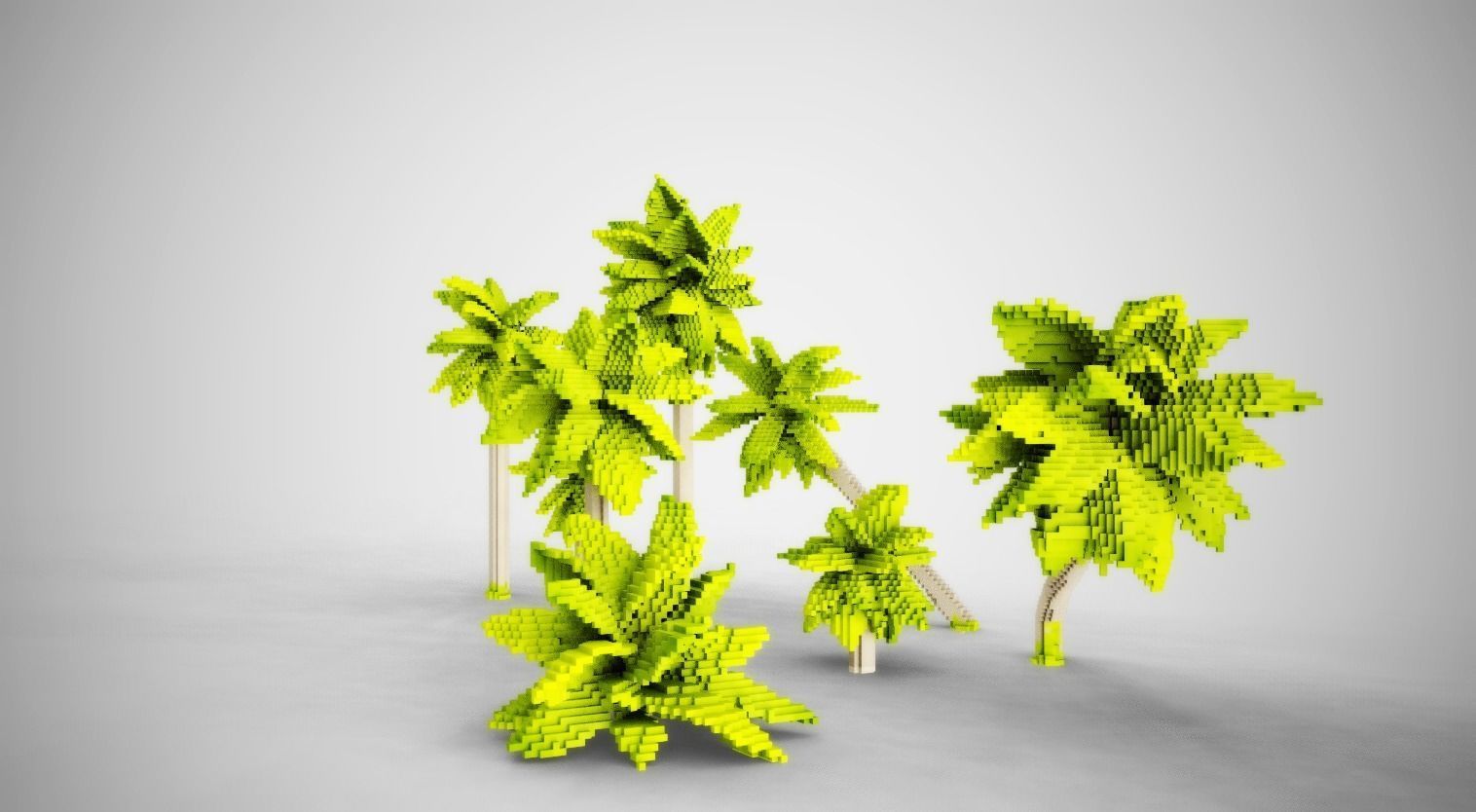 Palm Trees Low-poly 3D model_5