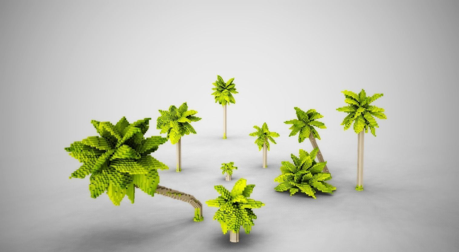 Palm Trees Low-poly 3D model_6