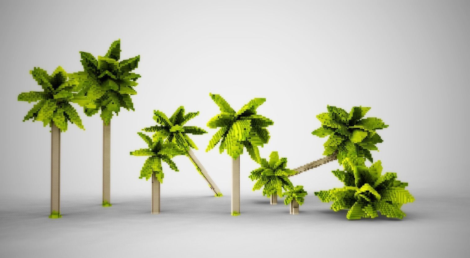 Palm Trees Low-poly 3D model_7