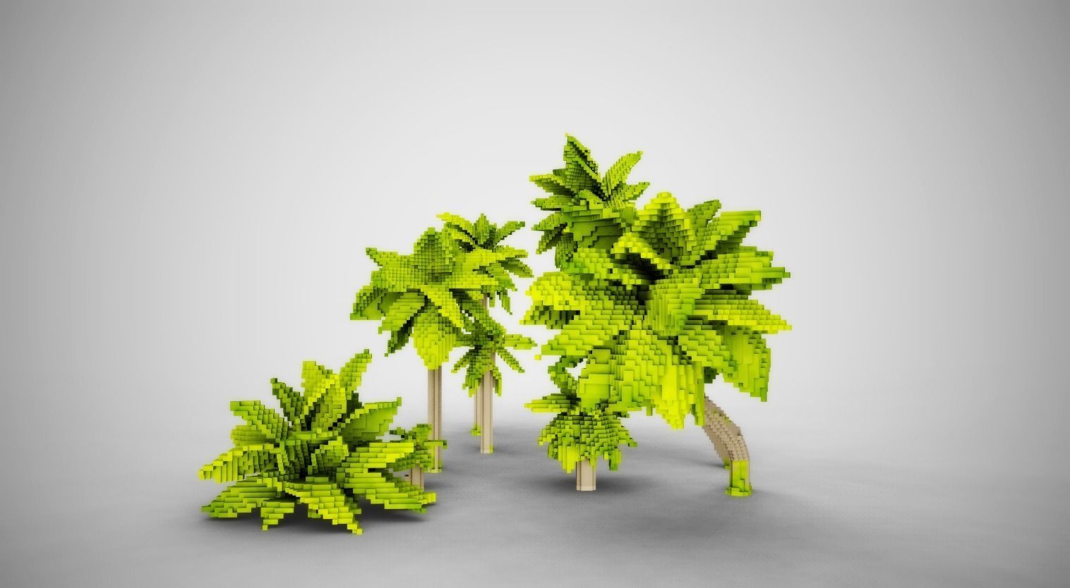 Palm Trees Low-poly 3D model_2