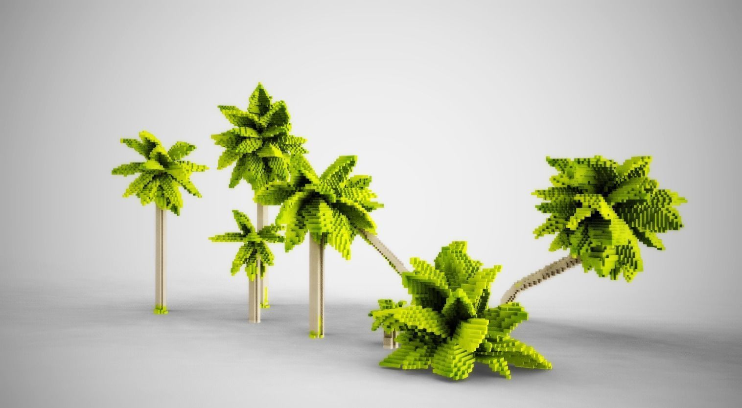 Palm Trees Low-poly 3D model_1