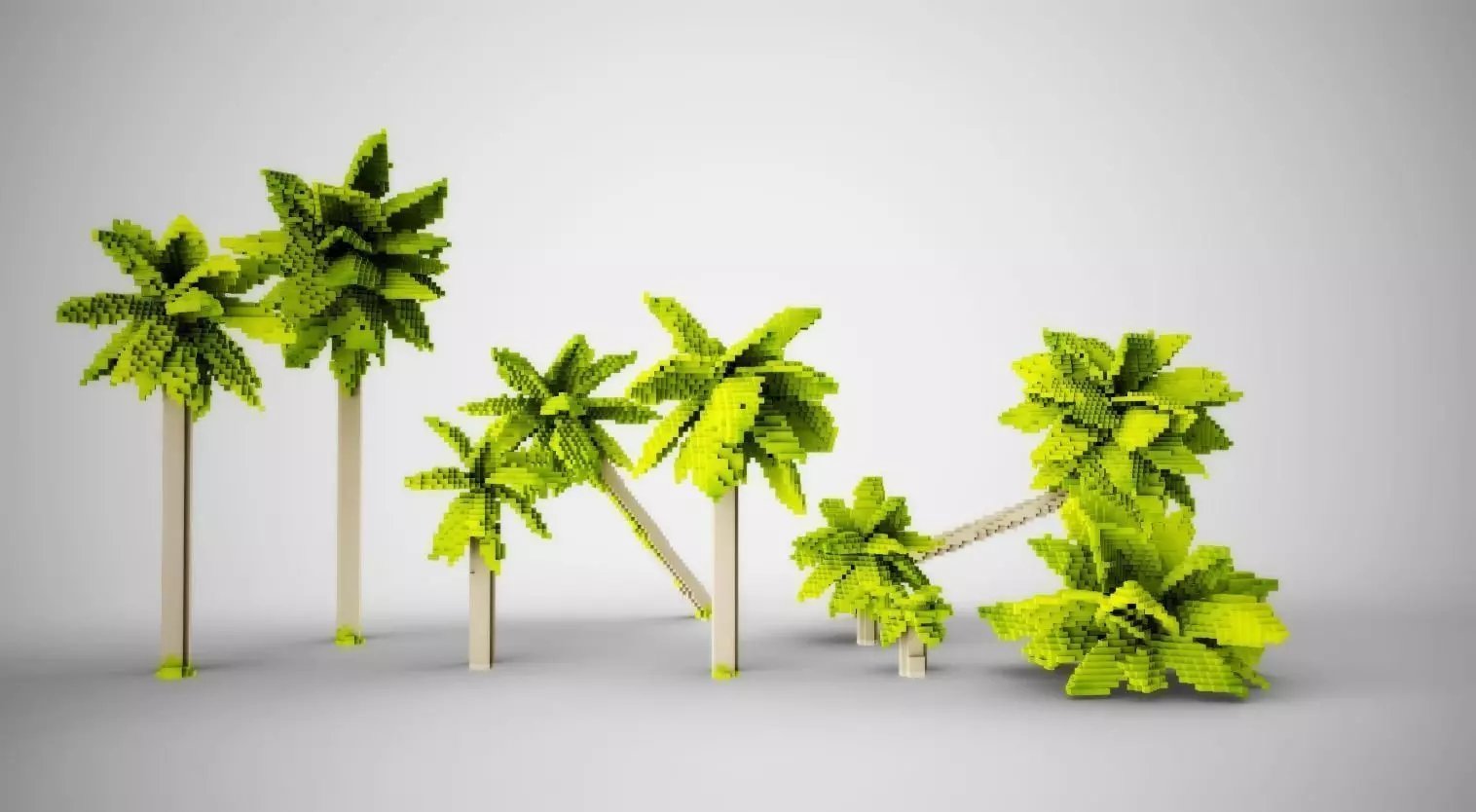 Palm Trees Low-poly 3D model_0