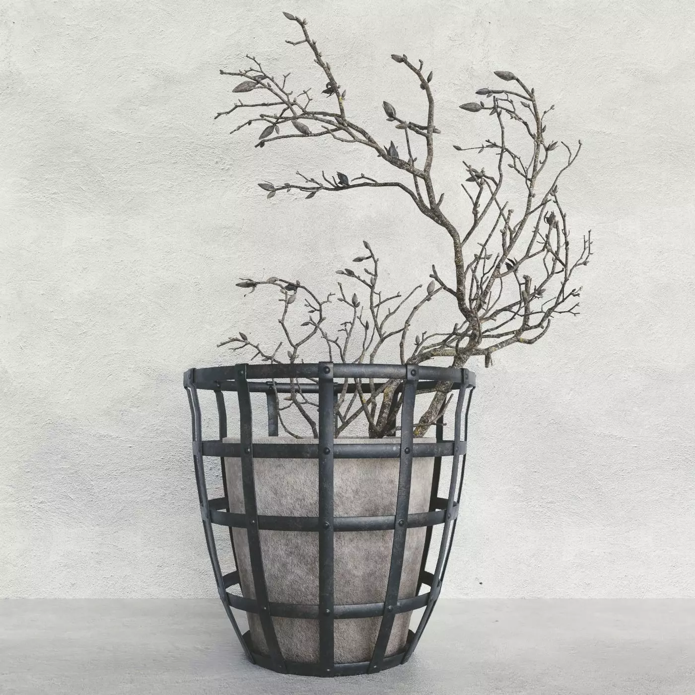 Decor branch dry magnolia 3D model