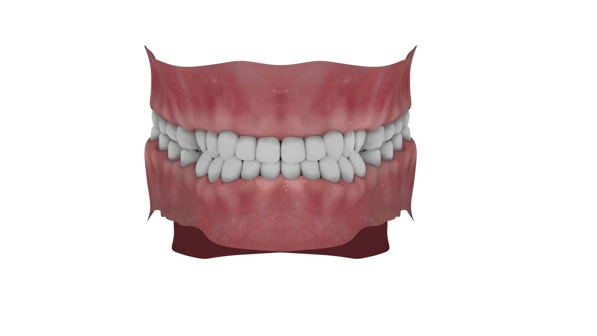 Teeth and Tongue Rigged 3D model_1
