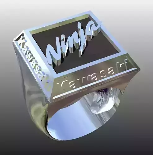 kawasaki ring 3D print model