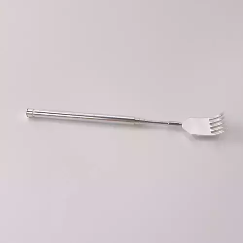 Backscratcher stainless steel utensil fork
