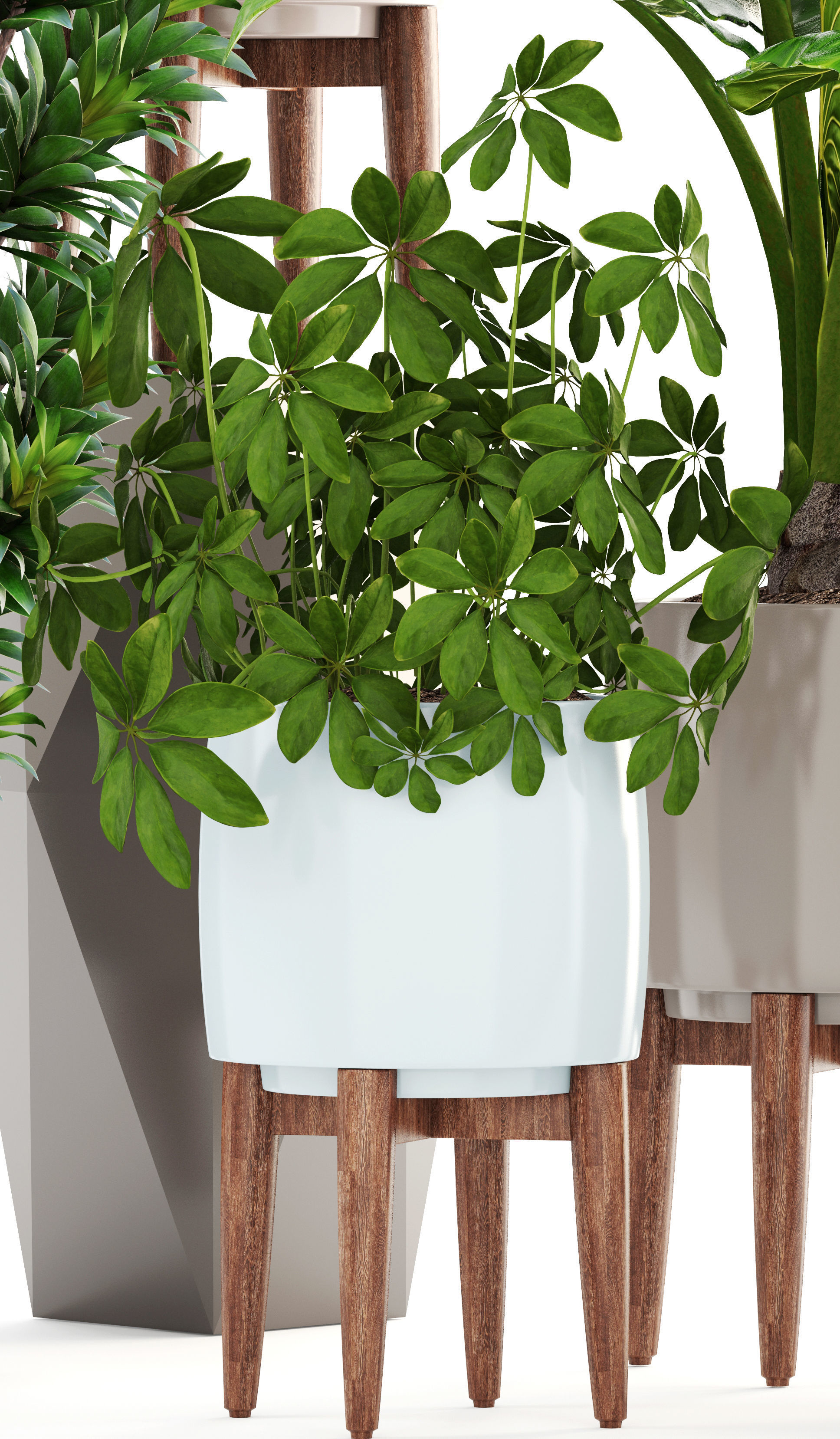 Collection plants potted on wooden legs 3D model_6