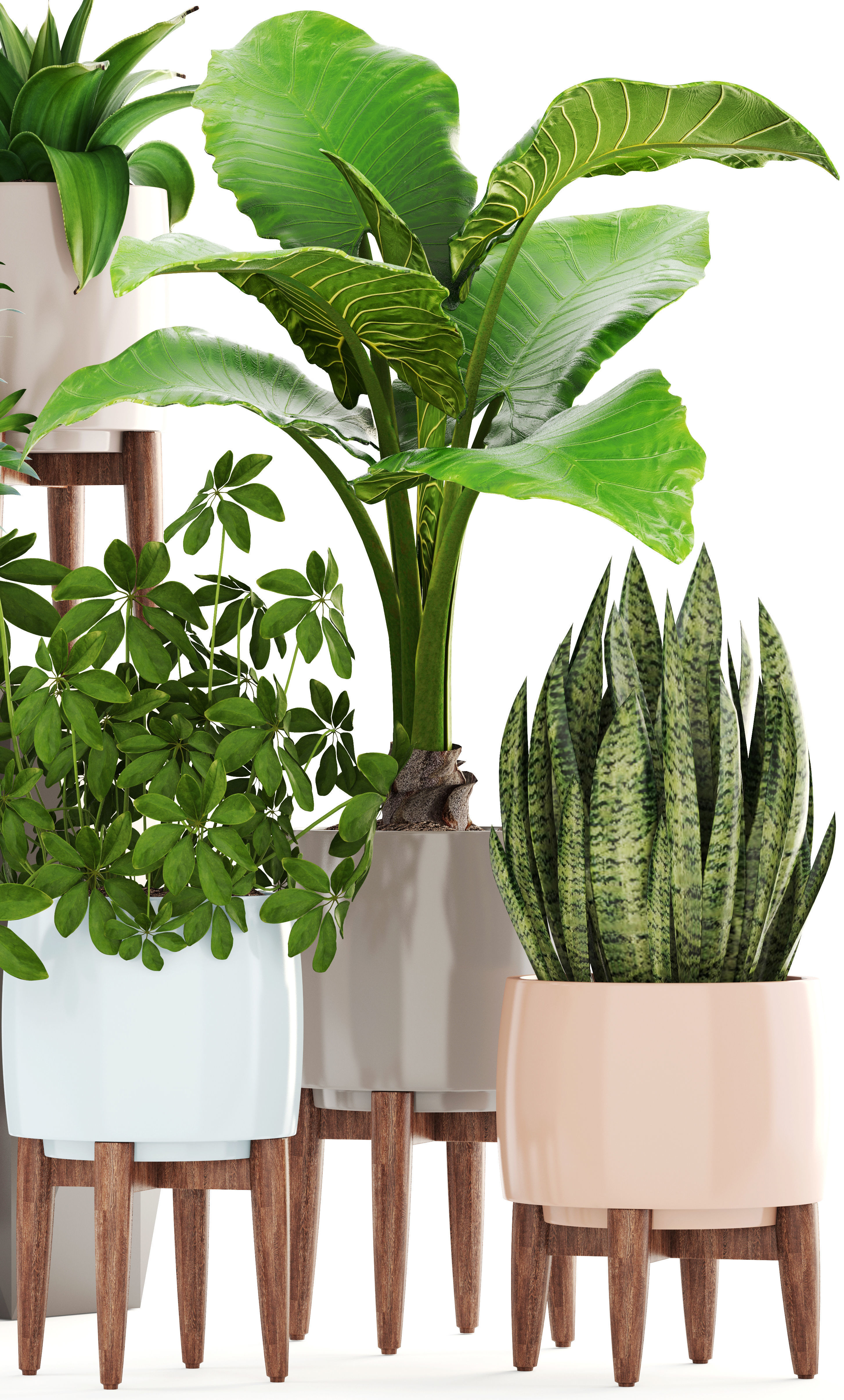 Collection plants potted on wooden legs 3D model_9