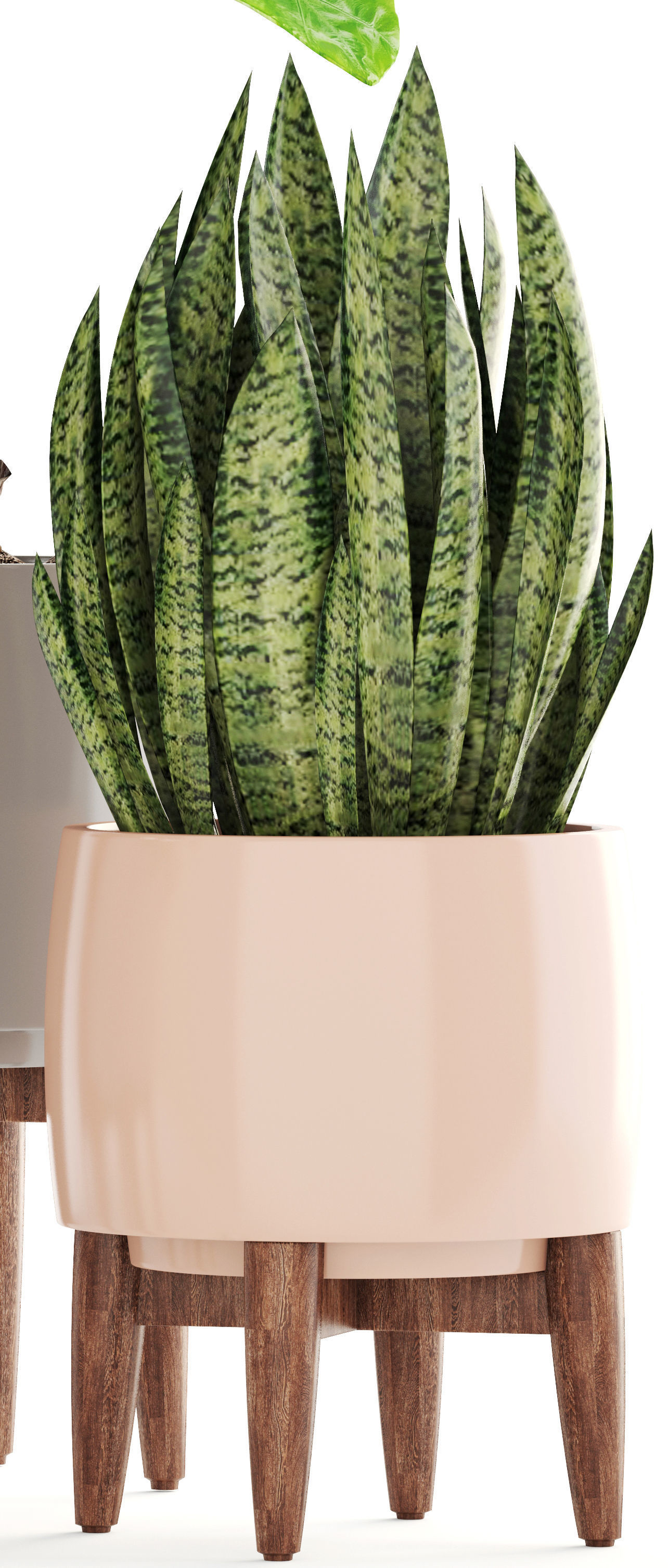 Collection plants potted on wooden legs 3D model_1